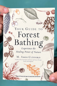 Your Guide to Forest Bathing