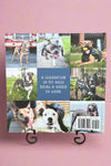 Pit Bull Heroes