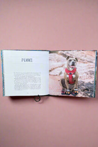 Pit Bull Heroes
