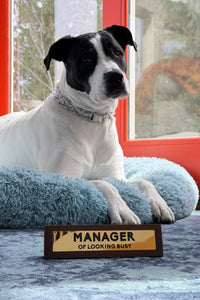 Manager Of Looking Busy Desk Sign