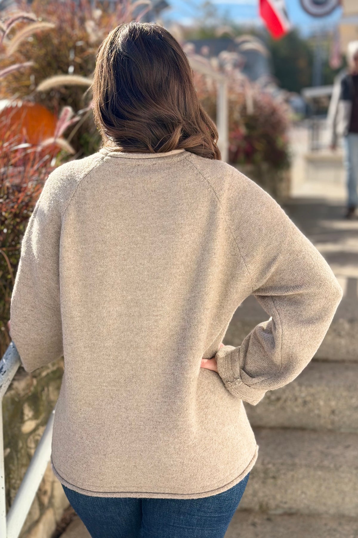 Mallard in Flight Sweater - Mocha