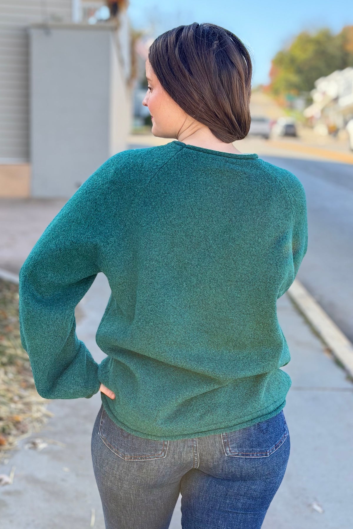 Mallard in Flight Sweater - Forest