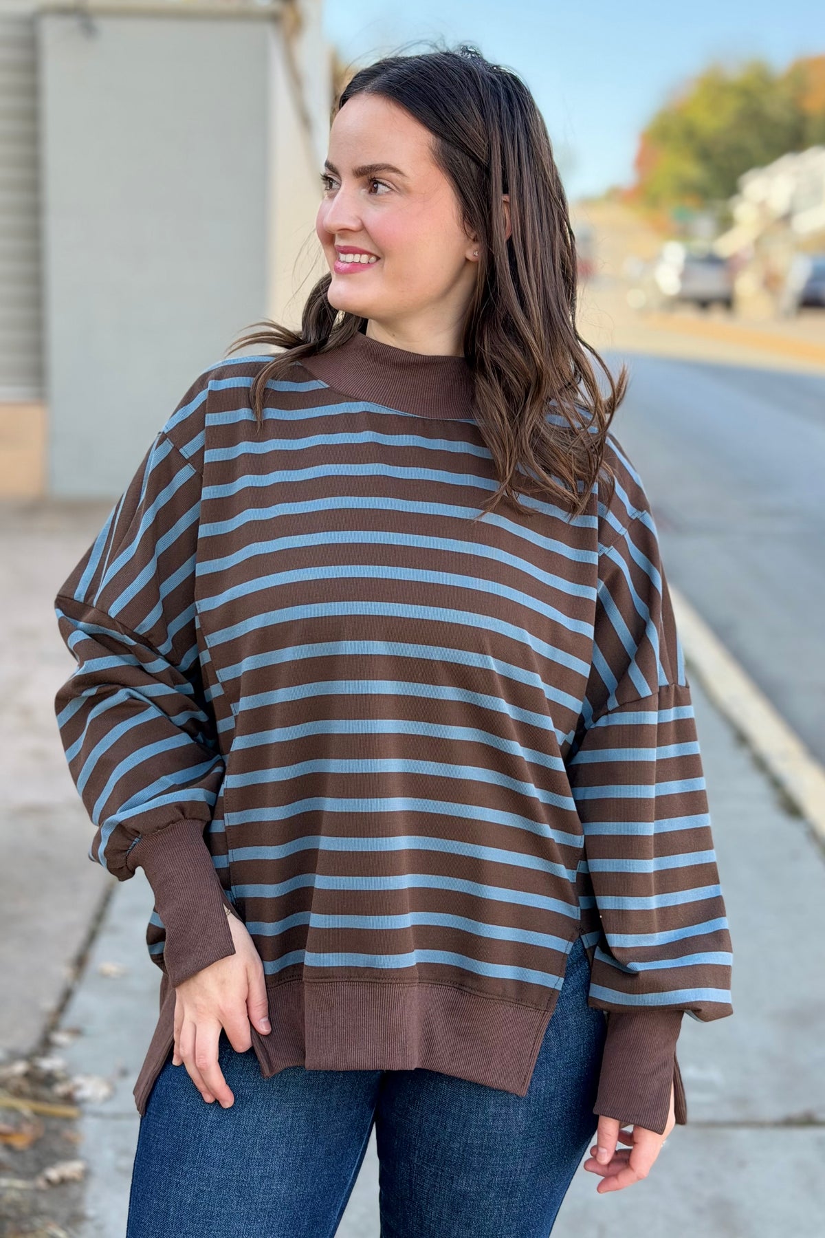Striped Mock Neck Sweatshirt - Brown