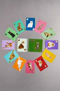 Herding Cats! Card Game