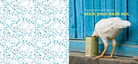 Chicken Wisdom
