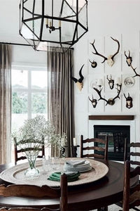 Color Is Home: A Brave Guide To Designing Classic Interiors