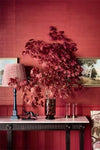 Color Is Home: A Brave Guide To Designing Classic Interiors