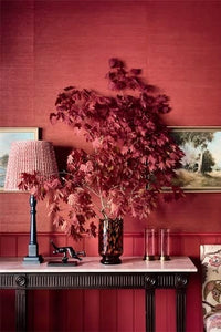 Color Is Home: A Brave Guide To Designing Classic Interiors