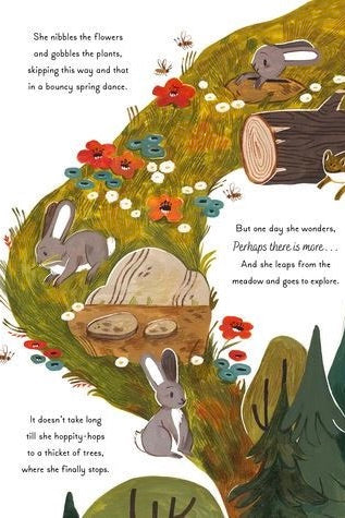 5-Minute Nature Stories