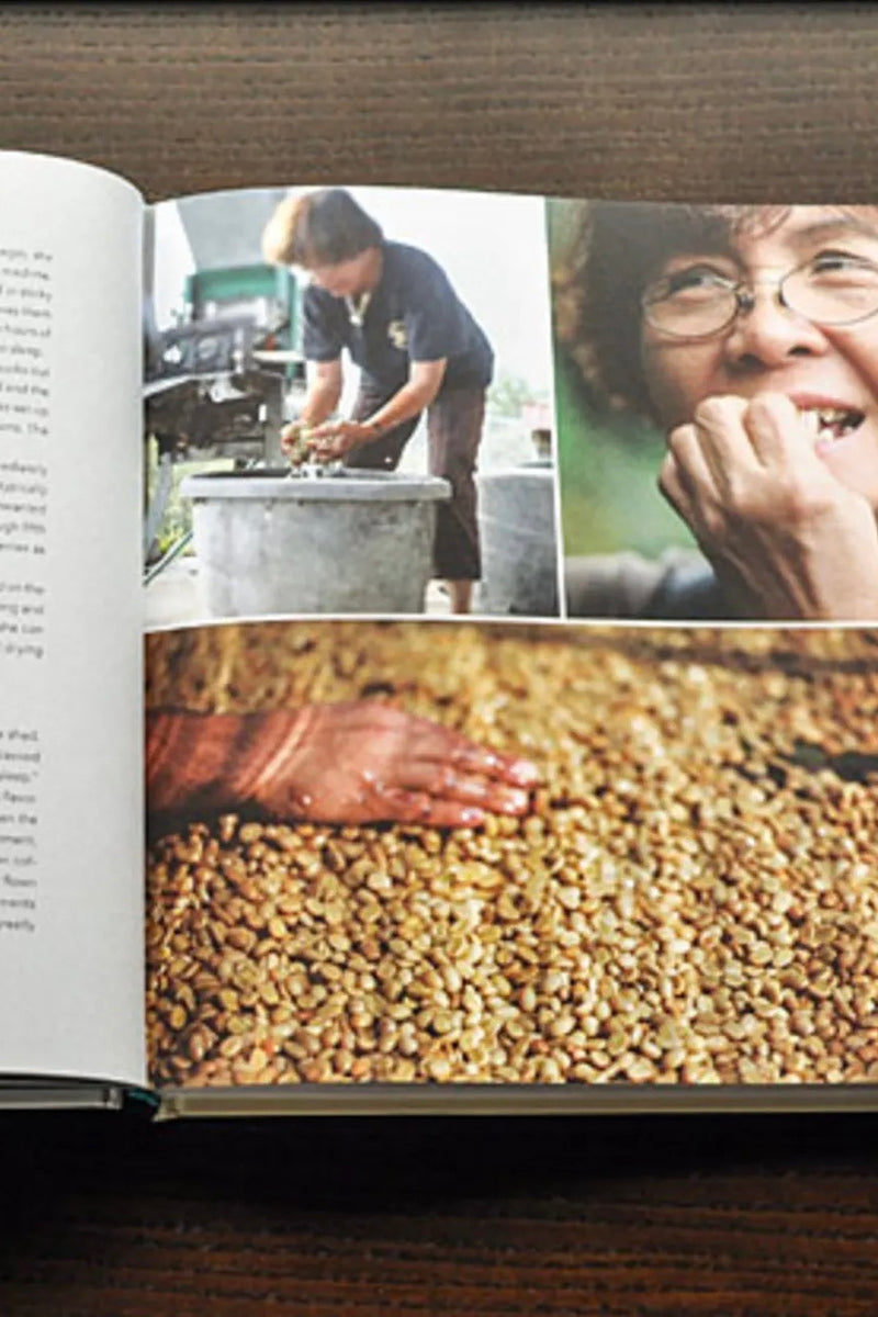 The Blue Bottle Craft Of Coffee