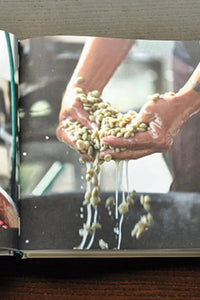 The Blue Bottle Craft Of Coffee