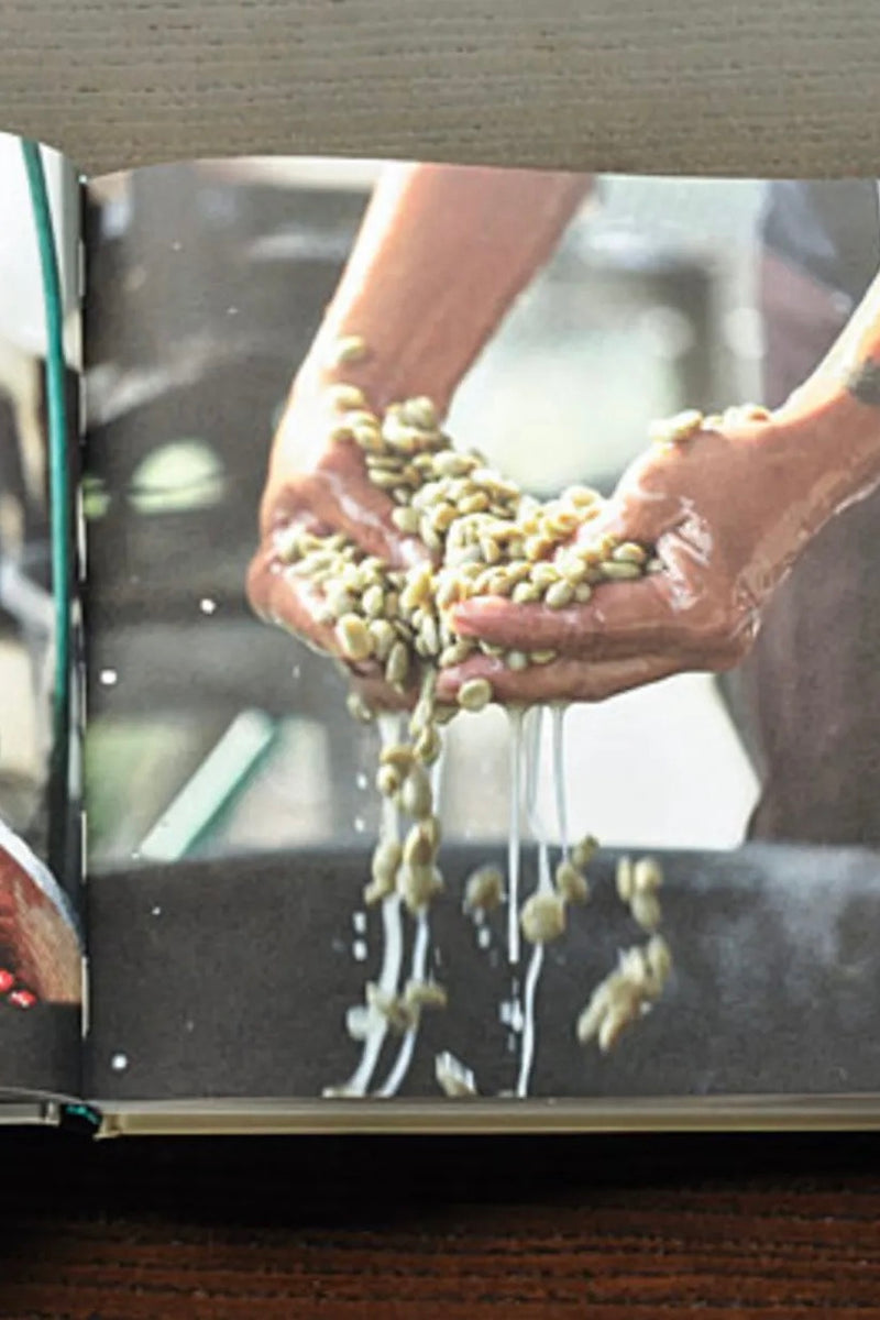 The Blue Bottle Craft Of Coffee