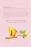 The Illustrated Compendium - Essential Slang