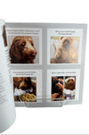 How To Make Your Dog #Famous