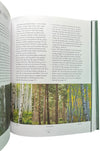 Forest School for Grown-Ups