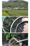 The Tea Enthusiast's Handbook