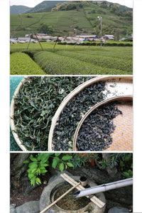 The Tea Enthusiast's Handbook