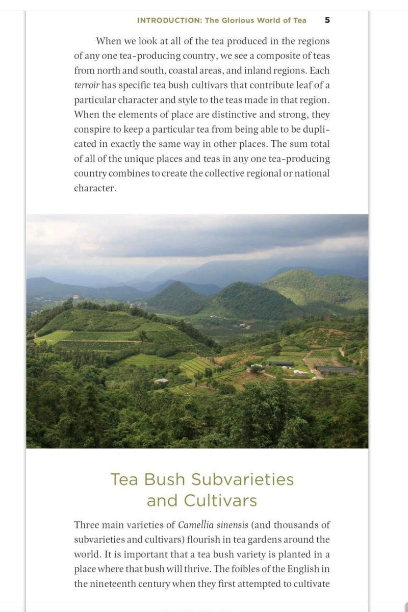 The Tea Enthusiast's Handbook