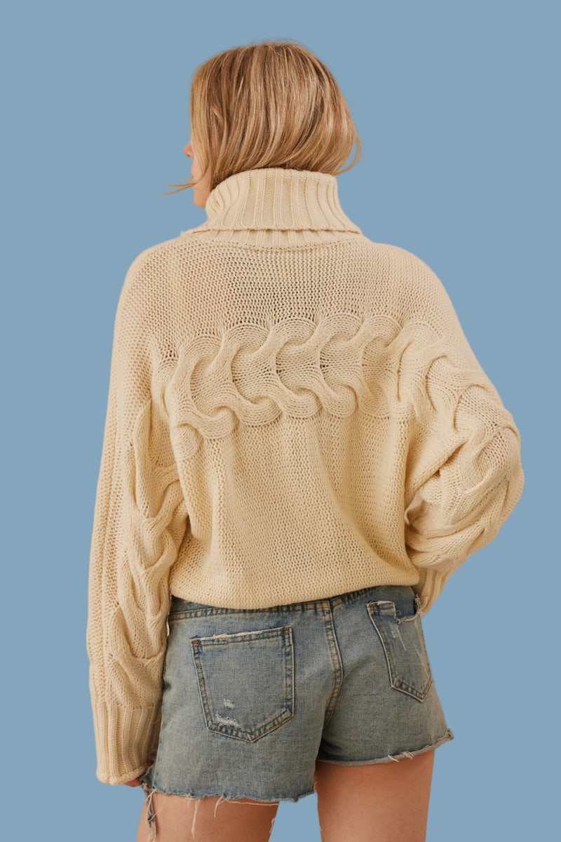 Turtle Neck Cropped Knit Sweater - Ivory