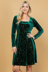 Celestial Green Velvet Dress