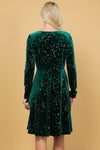 Celestial Green Velvet Dress