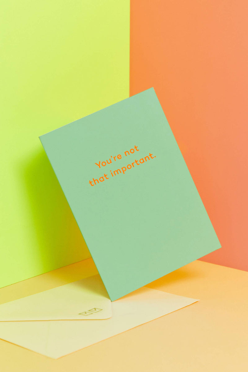 Friendship - You're Not That Important.