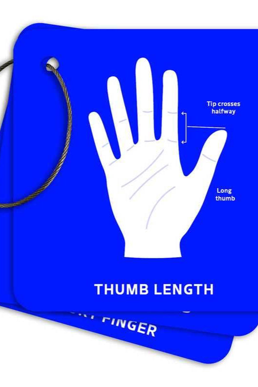 Palmistry Flashcards
