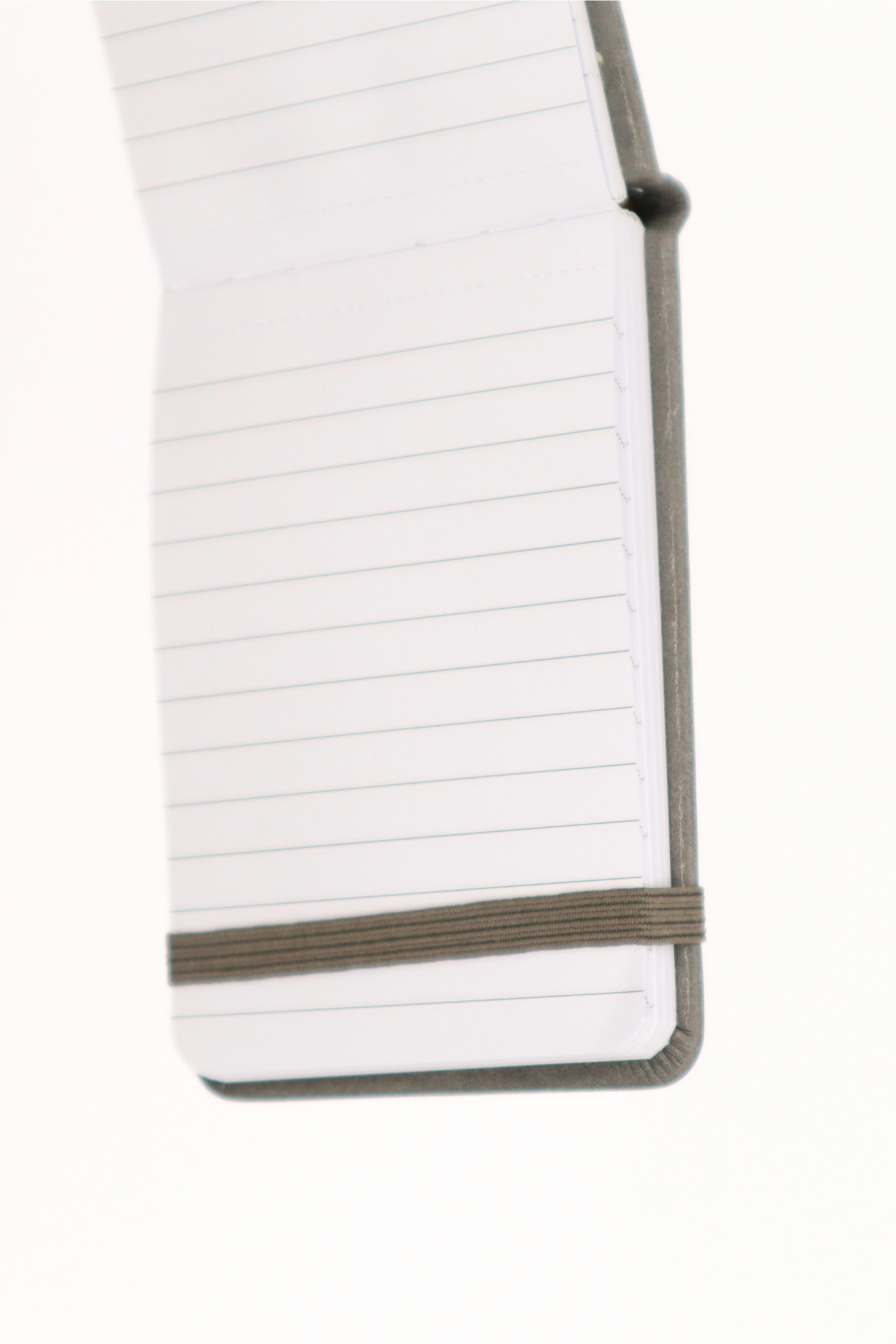 Pocket Journal - The Shit List