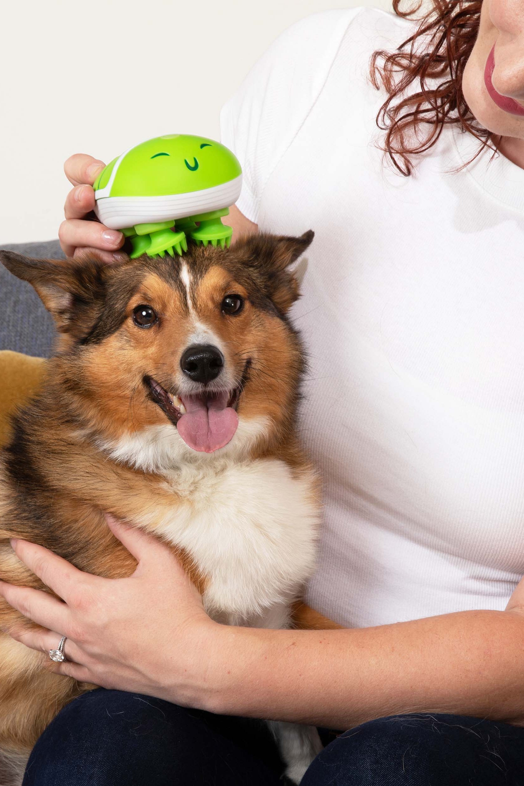 Paws & Relax: The Ultimate Electronic Pet Massager