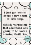 Funny Dishcloths