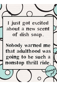 Funny Dishcloths