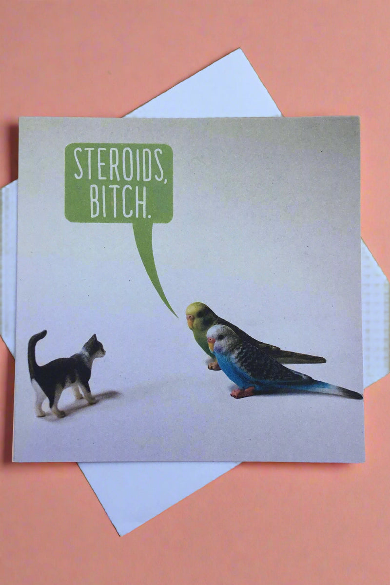 Card with a cat and two parakeets and the words “Steroids, Bitch.”