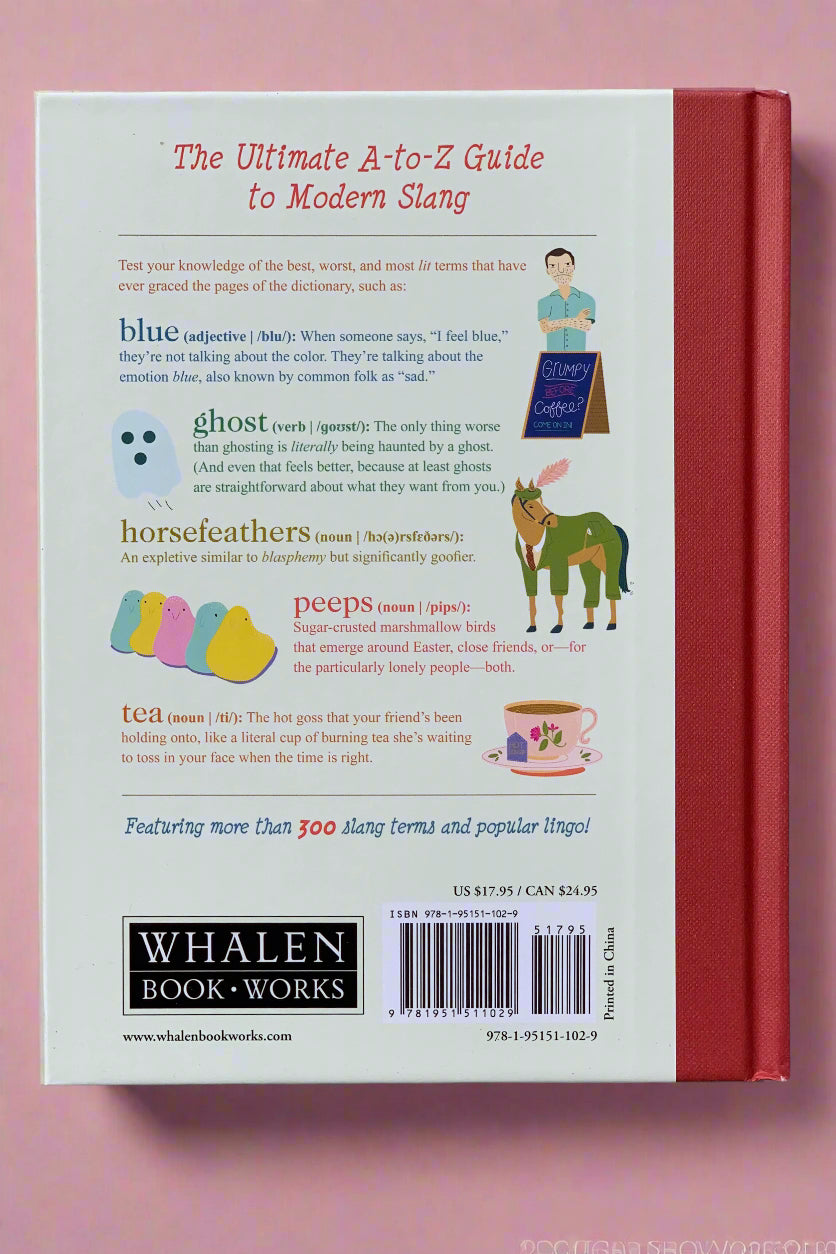 The Illustrated Compendium - Essential Slang