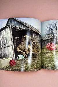 Figure Fantasy Book