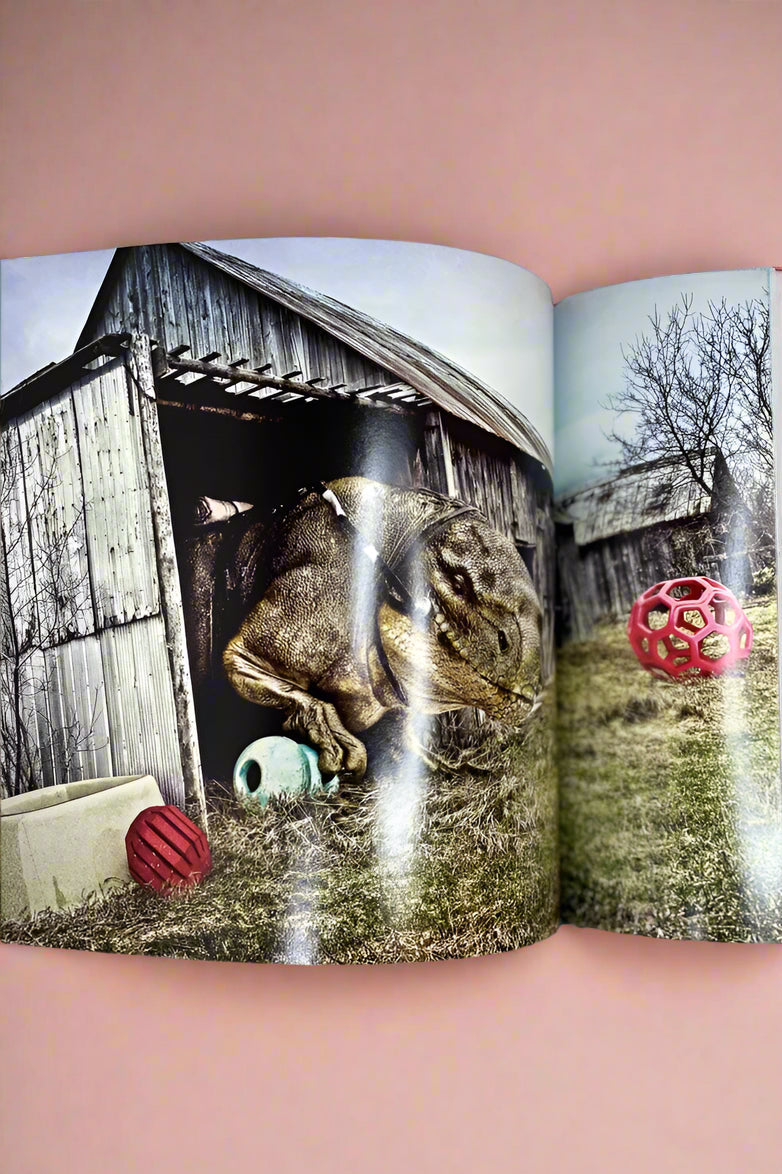 Figure Fantasy Book