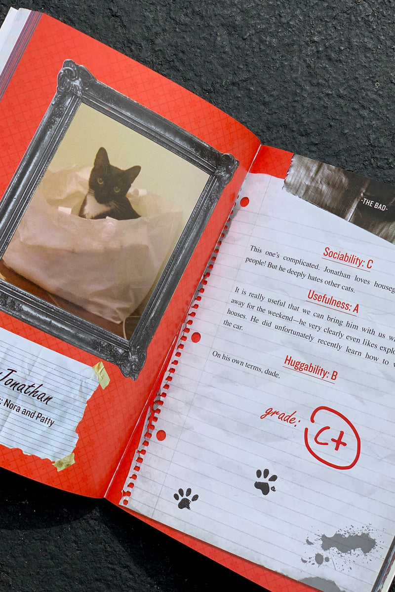 Review of My Cat