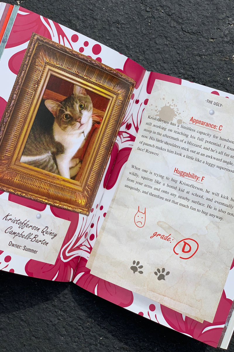 Review of My Cat
