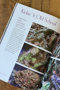 Beauty of Cannabis––A Visual Guide