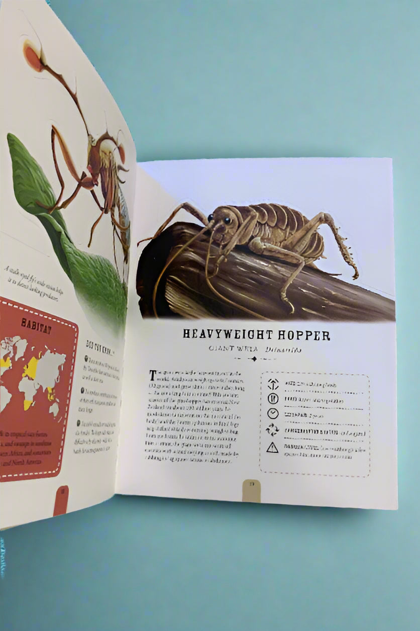 The Incredible World Of Bugs