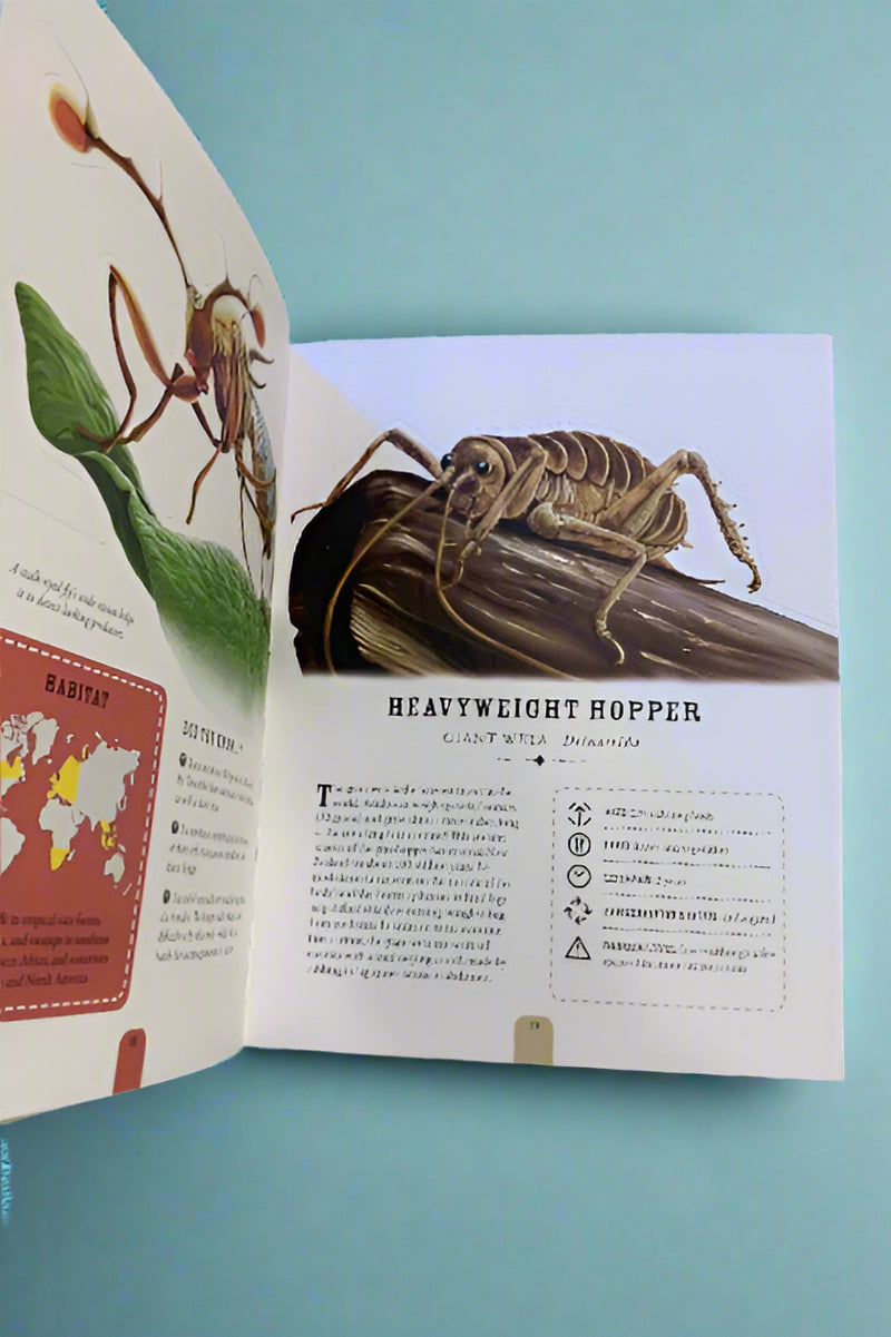 The Incredible World Of Bugs